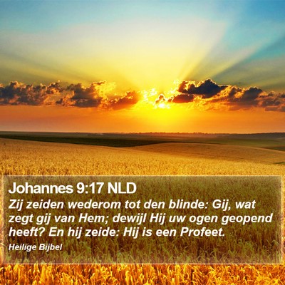 Johannes 9:17 NLD Bible Verse Image