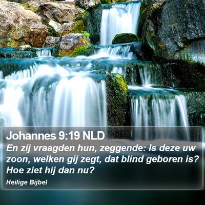 Johannes 9:19 NLD Bible Verse Image