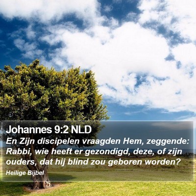 Johannes 9:2 NLD Bible Verse Image