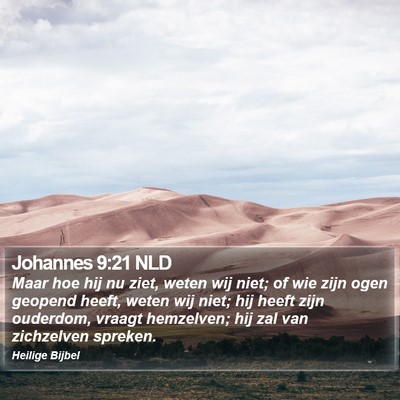 Johannes 9:21 NLD Bible Verse Image