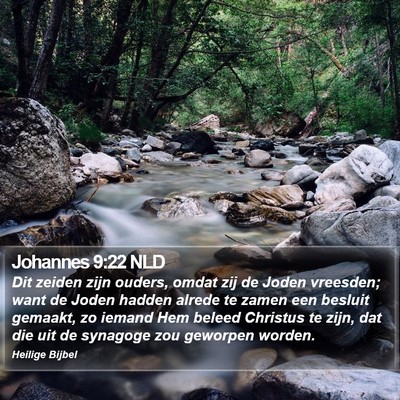 Johannes 9:22 NLD Bible Verse Image