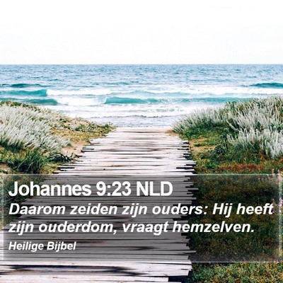 Johannes 9:23 NLD Bible Verse Image