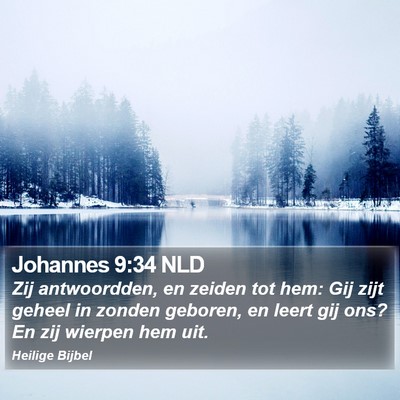 Johannes 9:34 NLD Bible Verse Image
