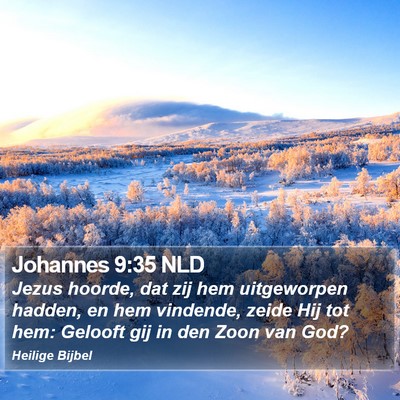 Johannes 9:35 NLD Bible Verse Image