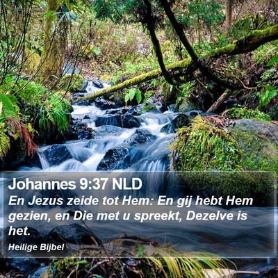 Johannes 9:37 NLD Bible Verse Image