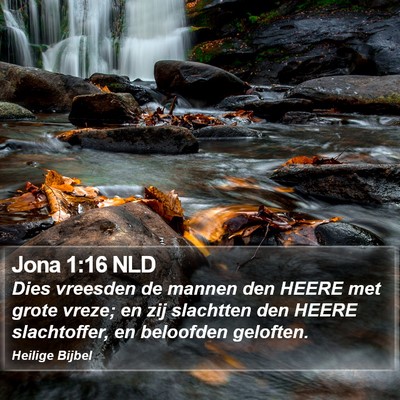 Jona 1:16 NLD Bible Verse Image
