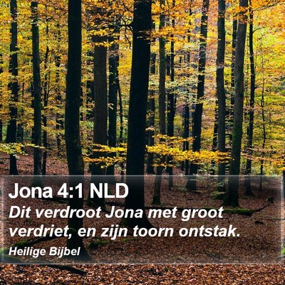 Jona 4:1 NLD Bible Verse Image