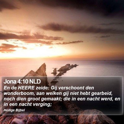 Jona 4:10 NLD Bible Verse Image