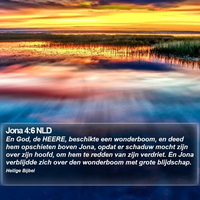 Jona 4:6 NLD Bible Verse Image