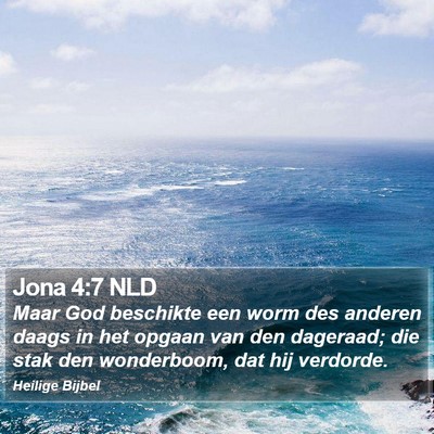 Jona 4:7 NLD Bible Verse Image