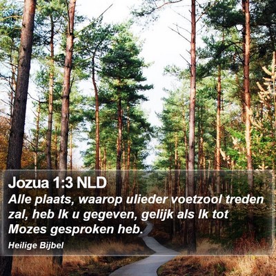 Jozua 1:3 NLD Bible Verse Image