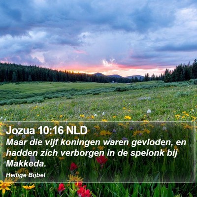 Jozua 10:16 NLD Bible Verse Image
