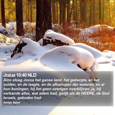 Jozua 10:40 NLD Bible Verse Image
