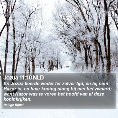 Jozua 11:10 NLD Bible Verse Image