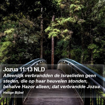 Jozua 11:13 NLD Bible Verse Image