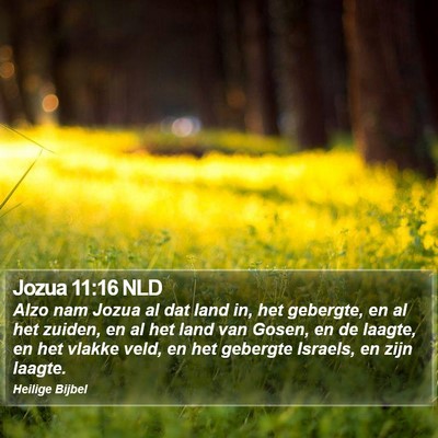 Jozua 11:16 NLD Bible Verse Image