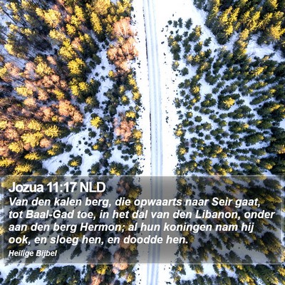 Jozua 11:17 NLD Bible Verse Image