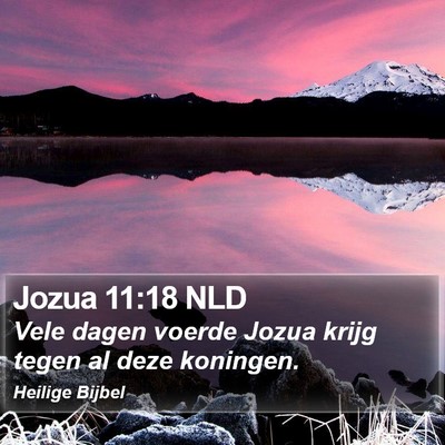 Jozua 11:18 NLD Bible Verse Image