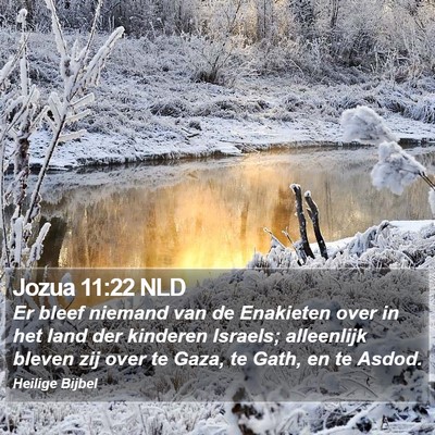 Jozua 11:22 NLD Bible Verse Image