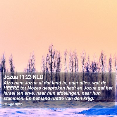 Jozua 11:23 NLD Bible Verse Image