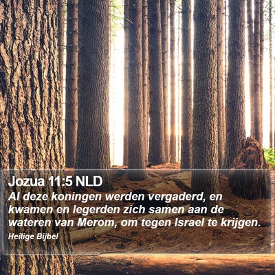 Jozua 11:5 NLD Bible Verse Image