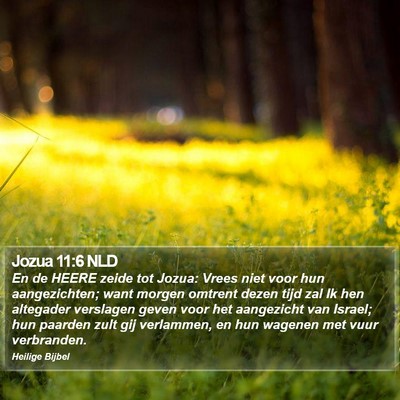 Jozua 11:6 NLD Bible Verse Image
