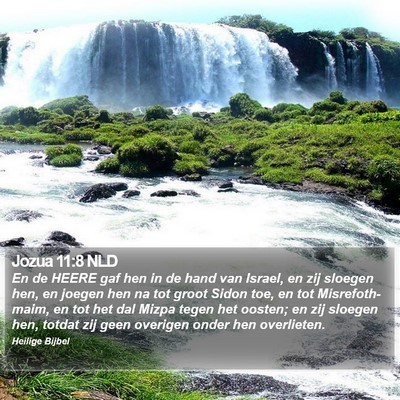 Jozua 11:8 NLD Bible Verse Image