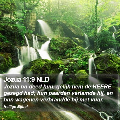 Jozua 11:9 NLD Bible Verse Image