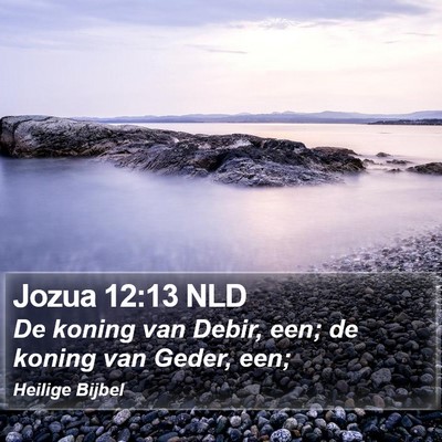 Jozua 12:13 NLD Bible Verse Image