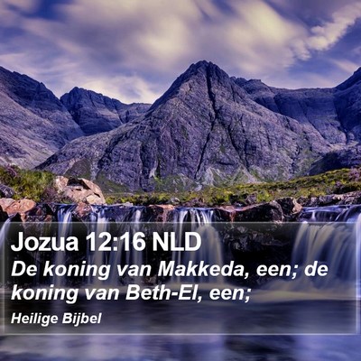 Jozua 12:16 NLD Bible Verse Image