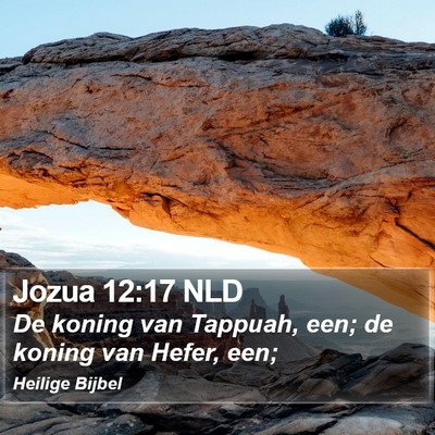 Jozua 12:17 NLD Bible Verse Image