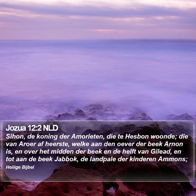 Jozua 12:2 NLD Bible Verse Image