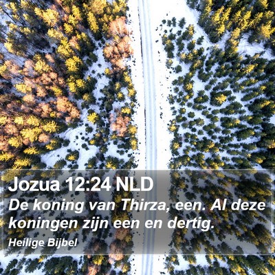 Jozua 12:24 NLD Bible Verse Image