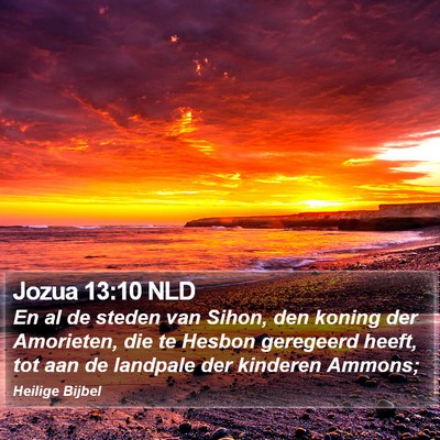 Jozua 13:10 NLD Bible Verse Image