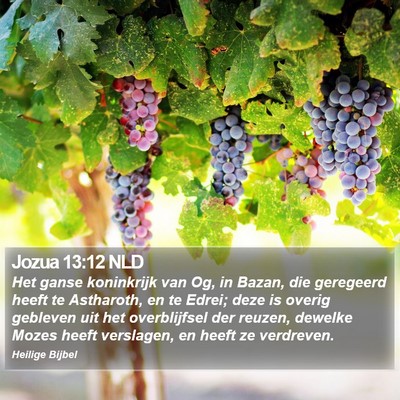 Jozua 13:12 NLD Bible Verse Image