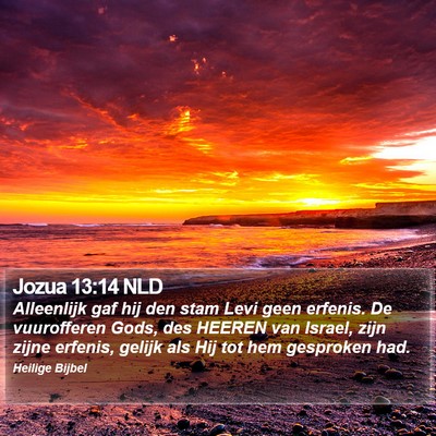 Jozua 13:14 NLD Bible Verse Image