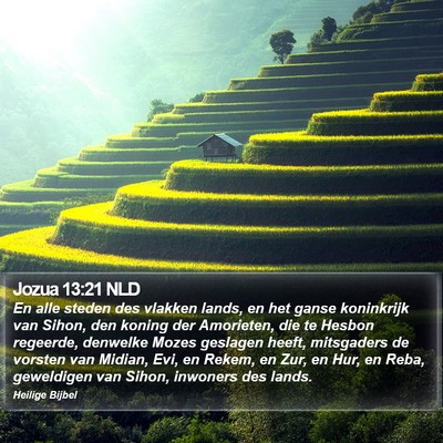 Jozua 13:21 NLD Bible Verse Image