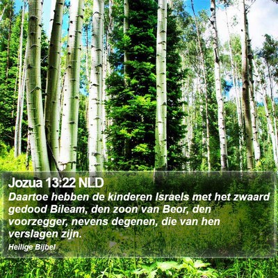 Jozua 13:22 NLD Bible Verse Image