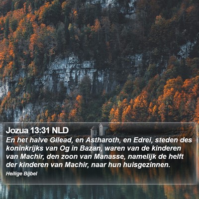 Jozua 13:31 NLD Bible Verse Image
