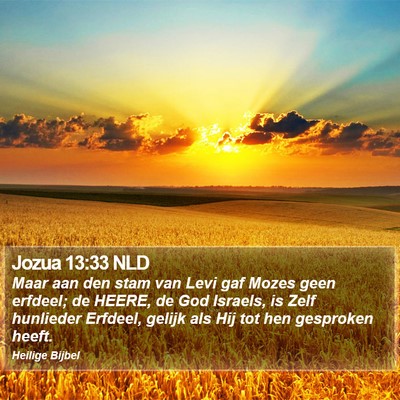 Jozua 13:33 NLD Bible Verse Image