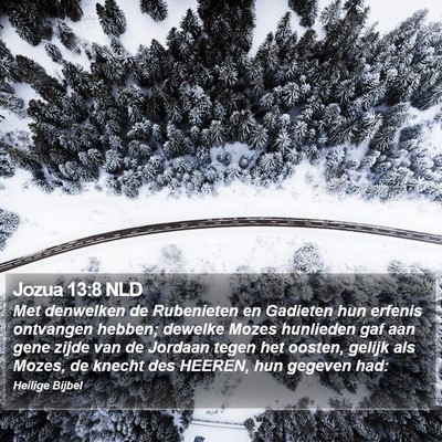Jozua 13:8 NLD Bible Verse Image