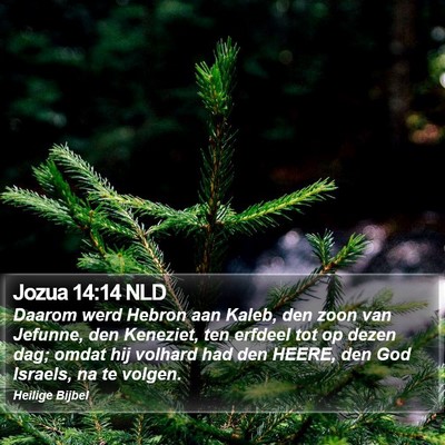 Jozua 14:14 NLD Bible Verse Image