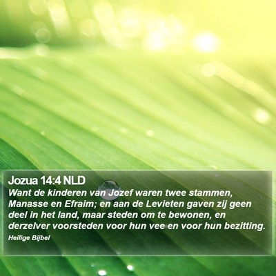 Jozua 14:4 NLD Bible Verse Image