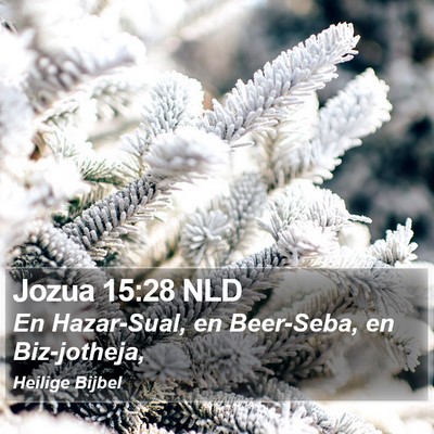 Jozua 15:28 NLD Bible Verse Image