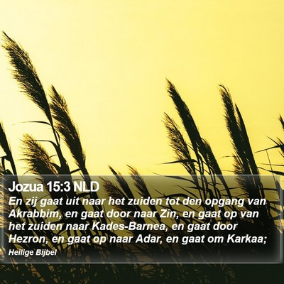 Jozua 15:3 NLD Bible Verse Image