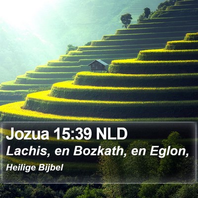Jozua 15:39 NLD Bible Verse Image