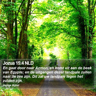 Jozua 15:4 NLD Bible Verse Image