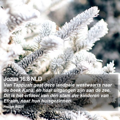 Jozua 16:8 NLD Bible Verse Image