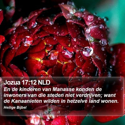Jozua 17:12 NLD Bible Verse Image