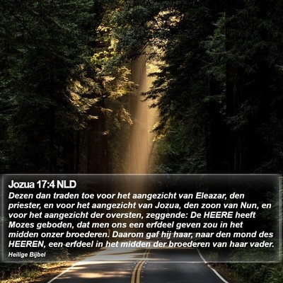 Jozua 17:4 NLD Bible Verse Image